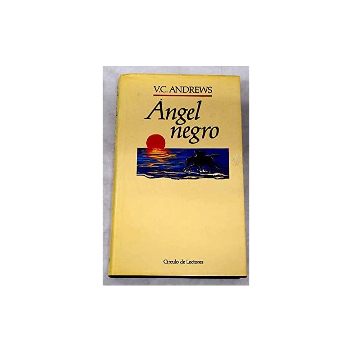 Ángel negro - Andrews, V. C.